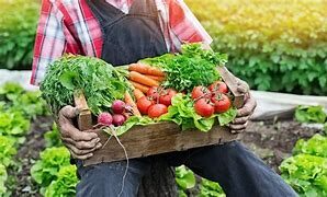 Feira Maranhense da Agricultura Familiar começa nesta quinta-feira