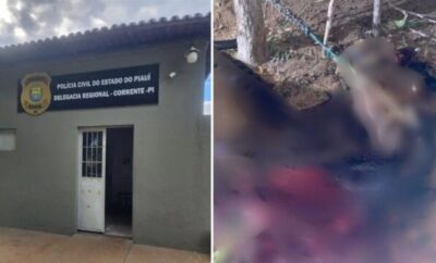 REVOLTANTE: Cavalo é amarrado, morto e mutilado em fazenda