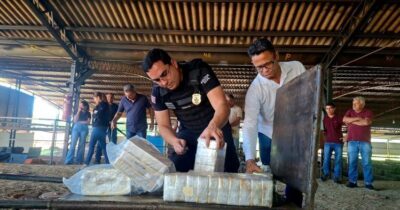 Polícia Civil incinera quase 250 kg de entorpecentes em Balsas