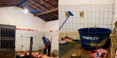 Justiça interdita matadouro de Nova Iorque por irregularidades