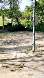 Drama continua no Povoado Entrocamento: Moradores denunciam novas ameaças e cerco de invasores em São Bernardo (MA)