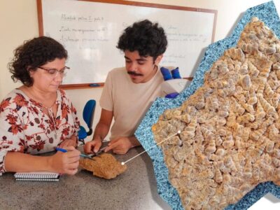 Justiça barra obras irregulares em área com fósseis em Duque Bacelar