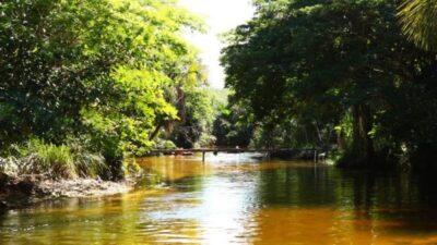 Restaurante Cardosa se destaca em Barreirinhas com gastronomia de qualidade e passeio de bóia imperdível