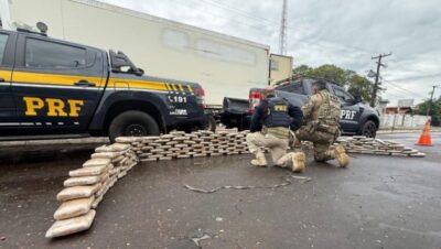 Carga de 213 kg de skunk é interceptada na BR-135, no MA