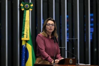 Governo do DF é responsável político por crise no BRB, diz Leila