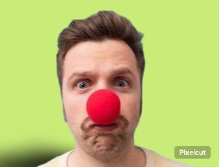 MENTE QUE NEM SENTE! A comida indigesta do papagaio falante… 🦜