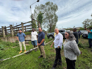 Animais soltos em via pública serão apreendidos e donos sofrerão sanções da prefeitura