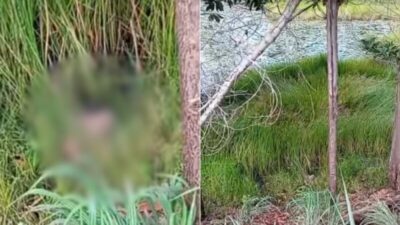 Cabeça humana é encontrada às margens de córrego na zona rural de Cidelândia