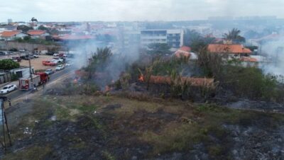 Registros mostram que o fogo atingiu uma grande parte da vegetação do local.