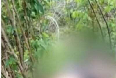 Corpo em decomposição é encontrado em área de mata em Timon no Maranhão