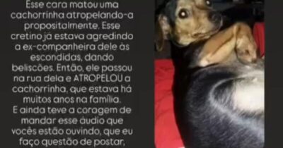 REVOLTANTE! Homem atropela e mata cachorra da ex em Imperatriz e ameaça “era pra ser tu”