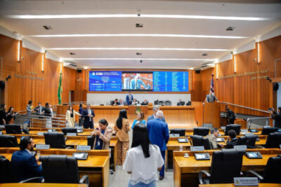 Assembleia aprova PL que cria a Semana Estadual da Maternidade Atípica no Maranhão