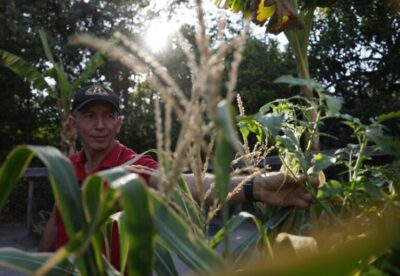 Fundo Amazônia destina R$ 52,9 mi para regularizar terras de 85 municípios do Maranhão