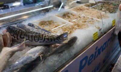 Vigilância Sanitária orienta sobre compra de pescado na Semana Santa