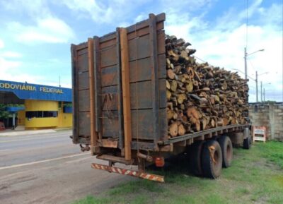Caminhão com madeira nativa sem documentação é interceptado no Maranhão
