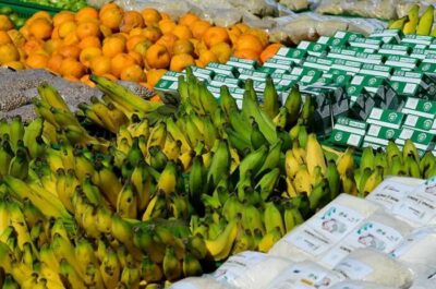 Lei amplia garantias para financiamentos do Pronaf