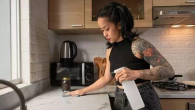 7 dicas para acabar com formigas e baratas na cozinha