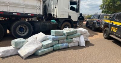 Urgente! Quase 1 tonelada de maconha skunk é apreendida na BR-222