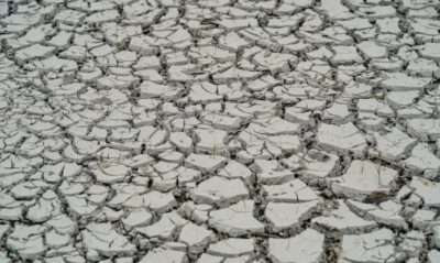 Estiagem: quinze cidades têm situação de emergência decretada