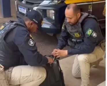 Em Guaraí, PRF encontra 1Kg de “supermaconha” e 63g de cocaína a droga tinha como destino Presidente Dutra