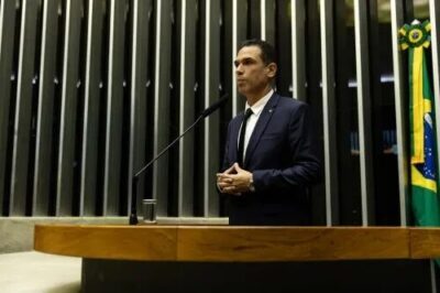 Conteúdo sobre proteção dos animais poderá fazer parte do currículo escolar