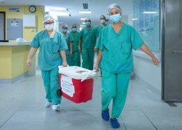 Maranhão realiza primeiro transplante hepático intervivos entre adultos do Nordeste