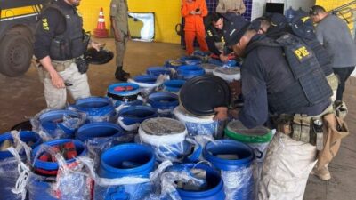 PRF encontra 1 tonelada de maconha durante abordagem no Maranhão