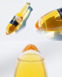 Estúdio japonês cria garrafa de cerveja para ser enfiada na areia da praia