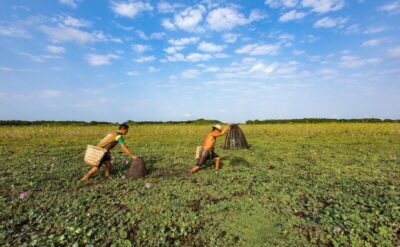 Maranhão é o 2º estado em número de pedidos de seguro-defeso e o 1º em pagamentos