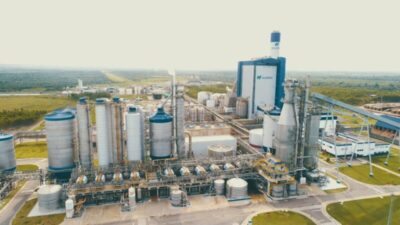 Suzano registra uma receita de R$ 50 bilhões e ganho de eficiência operacional no exercício de 2025