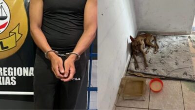 Homem que gravava vídeos fazendo sexo com cadela e divulgava na internet é preso no Maranhão