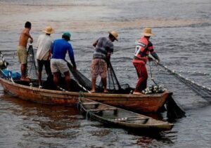 O MTE e a Fundacentro começam nesta segunda-feira (24) a atender pescadores para garantir o direito ao Seguro-Defeso