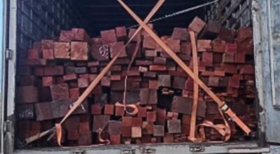 PRF apreende mais de 26 m³ de madeira ilegal na BR-230 em Balsas