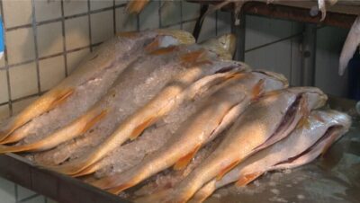 Mercado do Peixe em São Luís se prepara para aumento nas vendas na Semana Santa