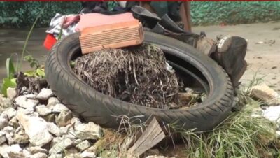 Casos de dengue aumentam no Maranhão e acendem alerta para a população