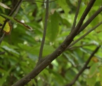 Empório Fribal aposta em experiências e afeto para a Páscoa