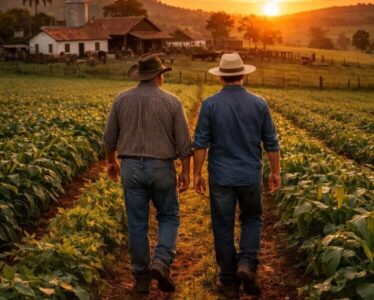 Testamento é ferramenta estratégica para a perpetuidade dos negócios no campo