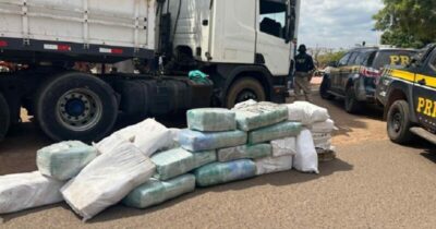 Polícia faz maior apreensão de skunk da história do Maranhão