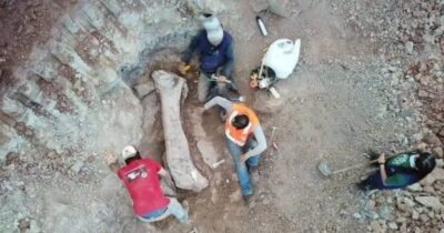 Titanossauro inédito é achado por cientistas no Maranhão