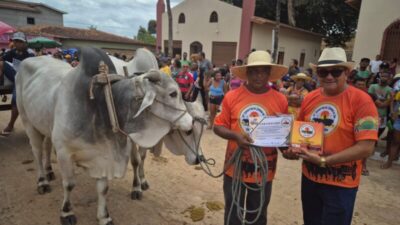 Cururupu mantém tradição com 16° Encontro de Carros de Bois