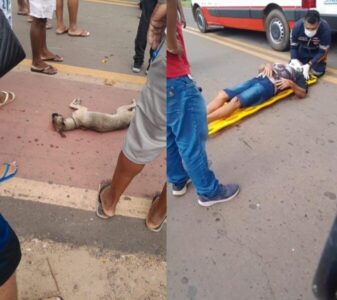 Cachorro atravessa pista e causa acidente com motociclista na MA-026, em Codó