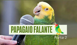 Vale-tudo da política faz youtuber esquecer que pior que goteiras, feio é não ter o hospital