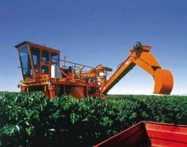 O que muda no agro brasileiro com o acordo Mercosul-UE