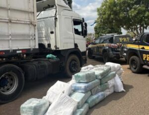 PRF apreende quase 1 tonelada de Skunk em Bom Jesus das Selvas