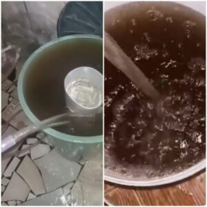 Moradores do Quilombo Liberdade sofrem com a falta de abastecimento e a péssima qualidade da água que chega às torneiras