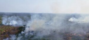 Levantamento do INPE revela mais de 21 mil focos de queimadas registrados neste ano, no Maranhão