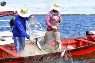 Pescadores têm até 31 de dezembro para comprovar atividade e garantir seguro-defeso