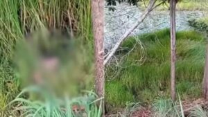 Cabeça humana é encontrada na zona rural de Cidelândia