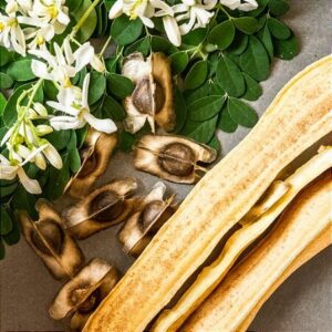 Estudo aponta nova aliada natural na remoção de microplásticos