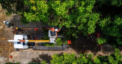 Segurança na poda de árvores: Equatorial Maranhão reforça cuidados para evitar acidentes com a rede elétrica